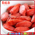 Chine blushwood goji berry aucune calorie goji ningxia goji berry